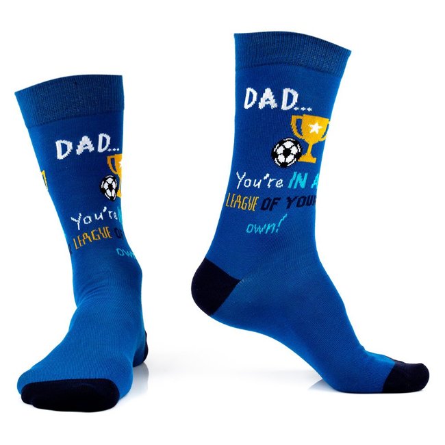 Pánské ponožky Dad cup 42-45
